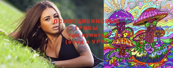 хмурый Алексин