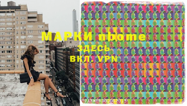 хмурый Алексин